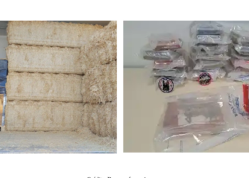 250 kilos de cocaïne cachés derrière les ballots de paille