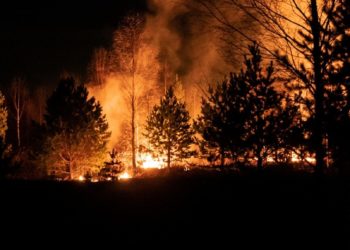 Face aux mégafeux, faut-il repenser le modèle forestier