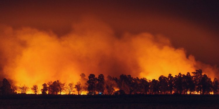 Incendies : « Nous n'avons strictement rien à cacher », assure Lecornu