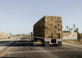 Agriculture : alerte sur le risque d'arnaques au fourrage