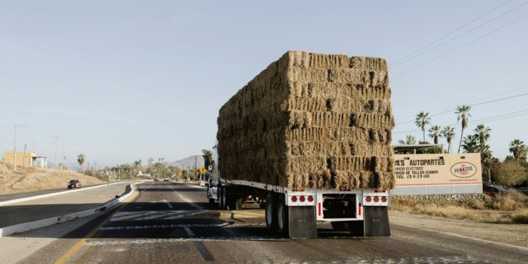Agriculture : alerte sur le risque d'arnaques au fourrage