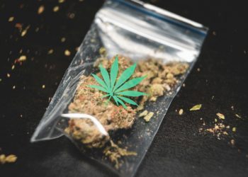 Saisie de cocaïne et cannabis