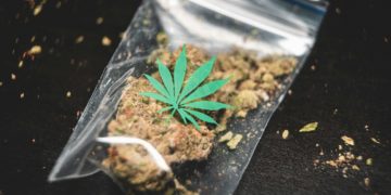 Saisie de cocaïne et cannabis