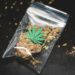 Saisie de cocaïne et cannabis