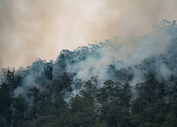 Alerte Rouge incendies de Forêts pour la Haute Garonne, Tarn, Gers ....