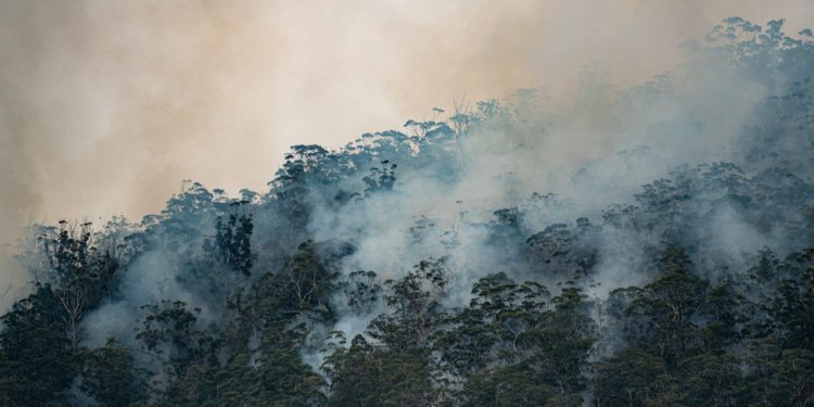 Alerte Rouge incendies de Forêts pour la Haute Garonne, Tarn, Gers ....