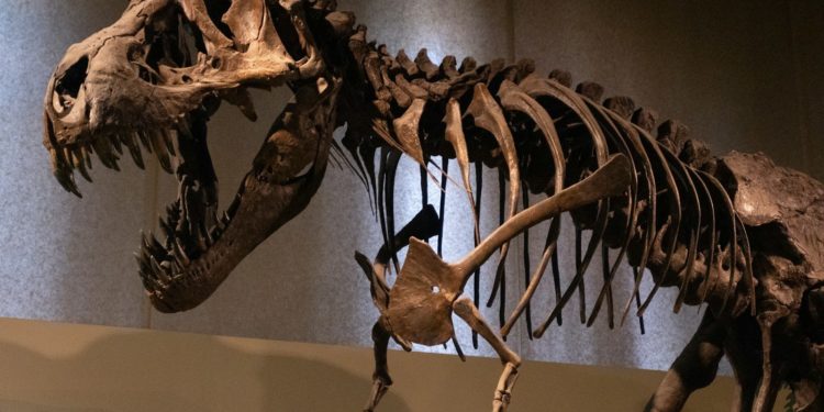 Le Muséum et le Quai des savoir ouvrent leurs portes