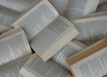 Livres de vacances, Les coups de cœur des libraires