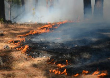 270 pompiers mobilisés sur un nouvel incendie