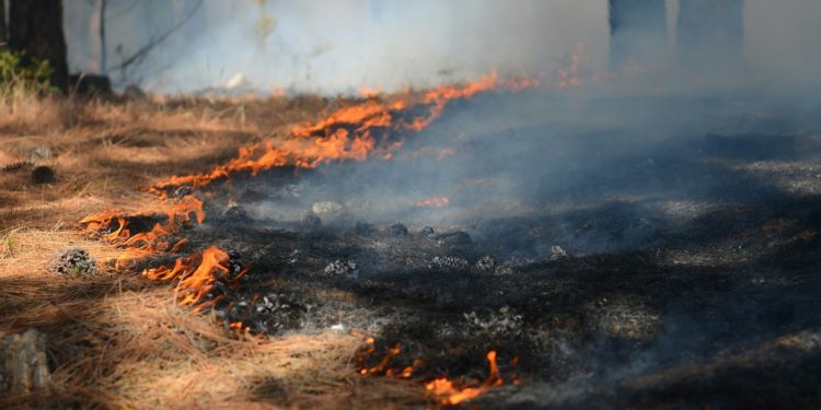 270 pompiers mobilisés sur un nouvel incendie