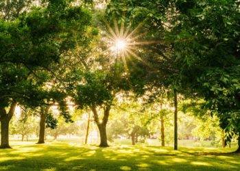 Toulouse, l'aménagement du grand Parc de l'Hers prend forme