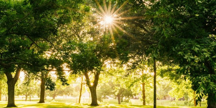 Toulouse, l'aménagement du grand Parc de l'Hers prend forme