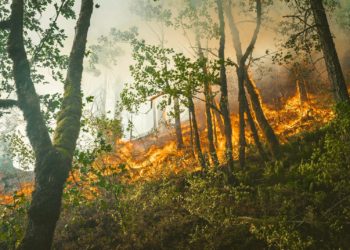 L'incendie près de Narbonne est fixé