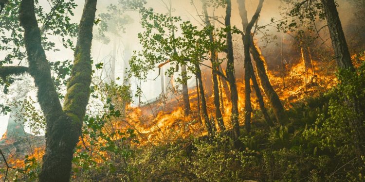 L'incendie près de Narbonne est fixé
