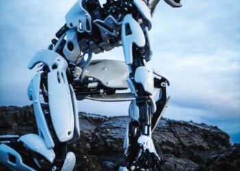 Les robots humanoïdes se préparent à leurs mondiaux