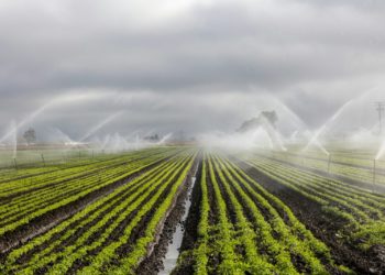 Sécheresse, de nouvelles restrictions d'eau annoncées en Haute Garonne