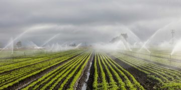 Sécheresse, de nouvelles restrictions d'eau annoncées en Haute Garonne
