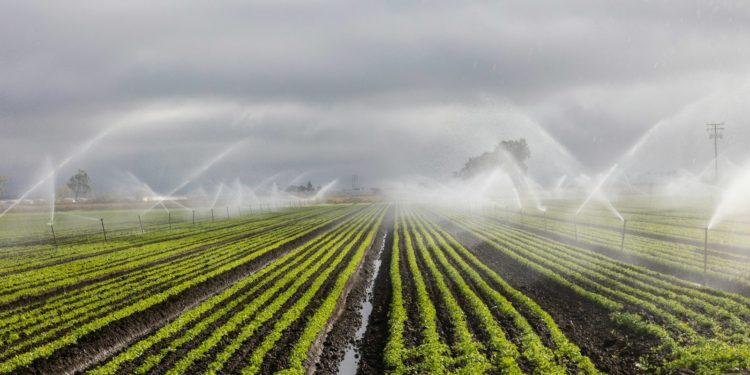 Sécheresse, de nouvelles restrictions d'eau annoncées en Haute Garonne