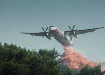 La Haute Garonne en alerte feux de forêt jeudi et vendredi