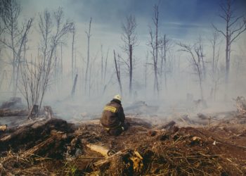 Plusieurs départements d'Occitanie en alerte maximum incendies