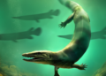 Une nouvelle espèce de dinosaure découverte dans le sud de la France