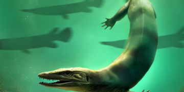 Une nouvelle espèce de dinosaure découverte dans le sud de la France