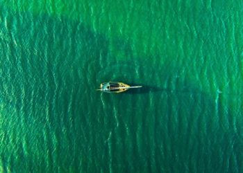 Route du Rhum, Vendée Globe... Pourquoi les grandes courses au large partent-elles pendant l'automne ?