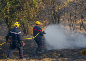 Un incendie a déjà parcouru plusieurs hectares dans le TarnUn incendie a déjà parcouru plusieurs hectares dans le Tarn