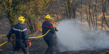 Un incendie a déjà parcouru plusieurs hectares dans le TarnUn incendie a déjà parcouru plusieurs hectares dans le Tarn