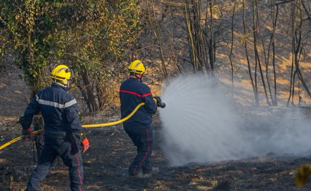 Un incendie a déjà parcouru plusieurs hectares dans le TarnUn incendie a déjà parcouru plusieurs hectares dans le Tarn