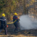Un incendie a déjà parcouru plusieurs hectares dans le TarnUn incendie a déjà parcouru plusieurs hectares dans le Tarn