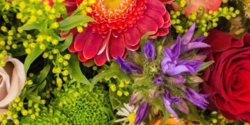 Marie Mangiapanelli va représenter Toulouse et le 31 à la coupe de France des FLeuristes