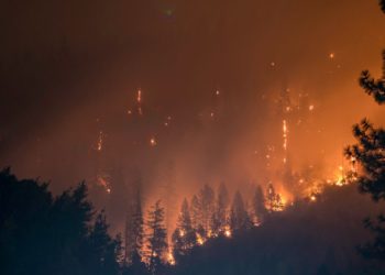 Un feu se déclenche dans un champ de panneaux photovoltaïques dans les Landes