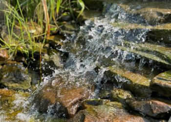 Se ravitailler en eau par voiture depuis que sa source est à sec