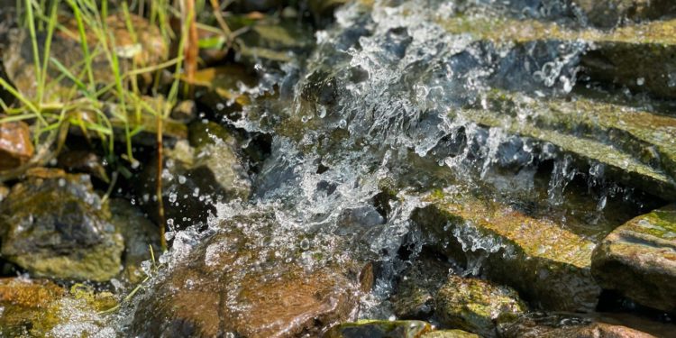 Se ravitailler en eau par voiture depuis que sa source est à sec
