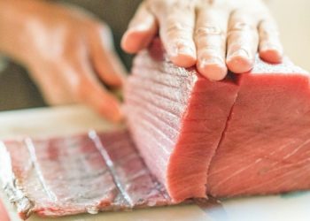 Un thon rouge record de 2,40 mètres débarqué