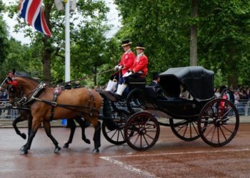 Première apparition publique du prince Harry