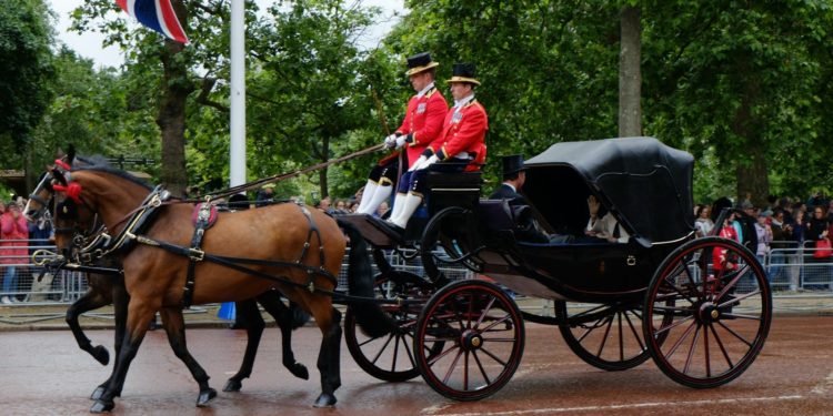 Première apparition publique du prince Harry