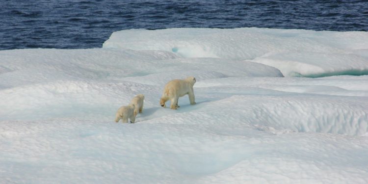 Historique : Le monde vient de connaître le mois d'août le plus chaud jamais enregistré