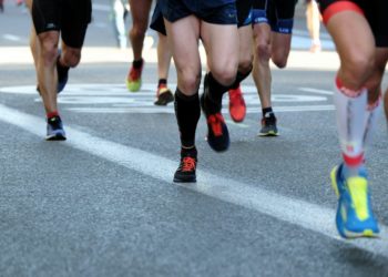 7 courses en cette fin d'années dans le sud est de Toulouse