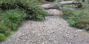 Météo France place le 31 en alerte orages, 2 départements d'Occitanie en alerte orange