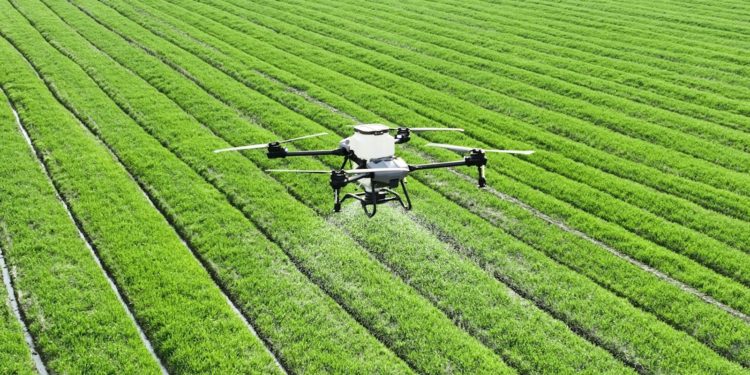 à Toulouse, le domaine de Candie devient lieu d'expérimentation de la robotique agricole