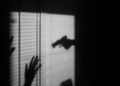 Crime organisé : des réseaux de plus en plus lucratifs