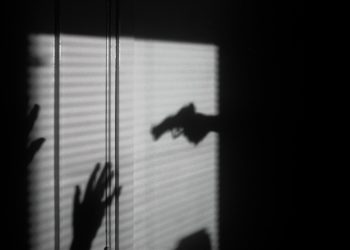Crime organisé : des réseaux de plus en plus lucratifs
